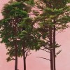 5 pines shugaku